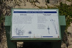 Plants of the Coorong Sign