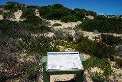 Plants of the Coorong Sign