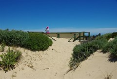 Viewing Platform