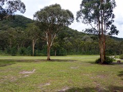 Burralow Creek campground