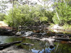 Gardner River Ford
