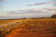 Connie Sue Hwy & Trans Australian Railway - Connie Sue 