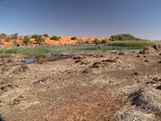 Southern end of swamp - May 09