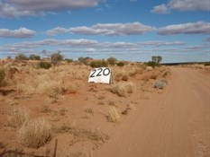 Already at the 220kms mark!  