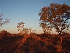 More amazing colours in the NT