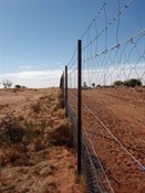 The Dog Fence - it works!  Storm couldn't get through it.