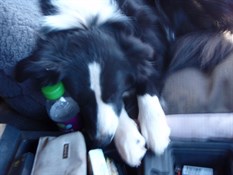 By now Storm just slept thought almost anything