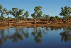 camp at Rocky Pool