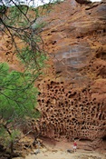 Honeycomb gorge and tiny me