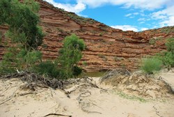 Sand and river gums along the river bends