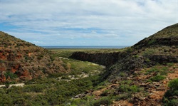 View to the water from the Mangu Gorge walk