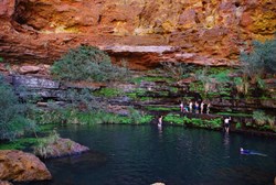 Circular Pool