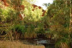 View Near circular pool