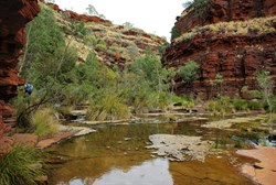 Dales Gorge walk