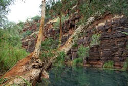 Dales gorge walk views