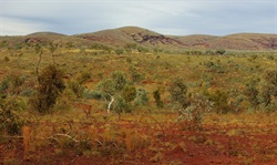 Karijini Landscape