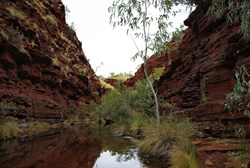 Hancocks Gorge
