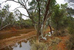 Gascoyne River