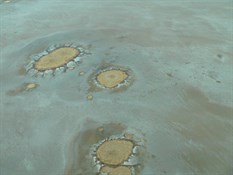 Lake Eyre mound springs