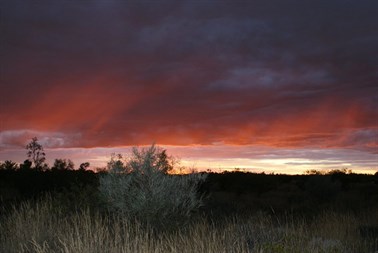 Sunrise through the morning showers