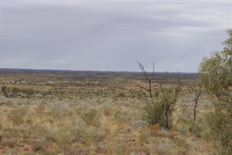 View down into the Helena Spring basin