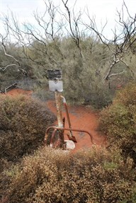 The Helena Spring marker and spade for digging.