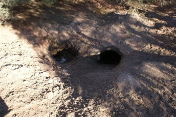 Midway Well - Talawana Track
