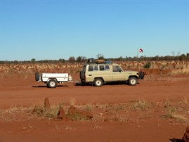 Termites