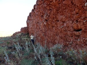 red wall