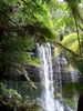 Russell Falls, Tasmania