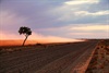 Sunset between Birdsville and Big Red