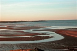Patterns on the sand flats - Cossack