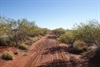 Cruising up the Kidson Track