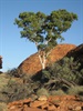 Photo Comp