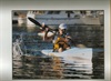 Kayak Race