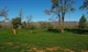 free camping near Wilpena