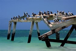 Jetty Eucla WA