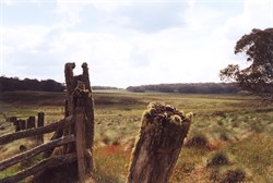 Hewitt Plains Vic