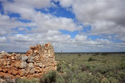 near Eucla WA