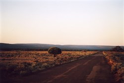 Gawler Ranges SA