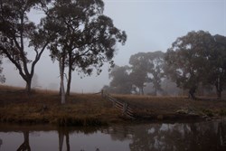 Cobrabald River NSW
