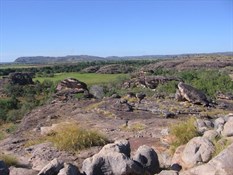 Wetlands from top of Ubirr