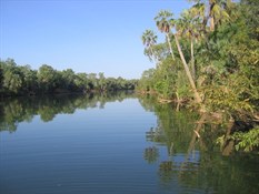 The Roper River, Elsey NP