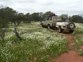 Murchison River camp area