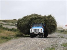 Carting Hay to the Stack