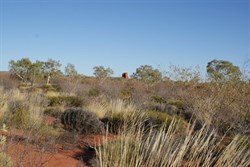 Hanging Rock viewed from the thick scrub to the east