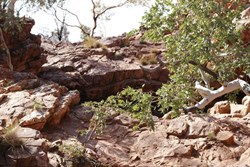 Curran Curran Rockhole