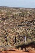 Outback Al surveying the countryside from a sand dune