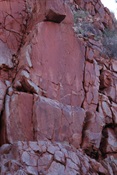 The three goanna's silently watching