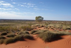 Magnificent Colours of the desert country